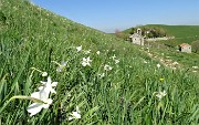 59 Verso il Santuario della Sacra Famiglia (1230 m)